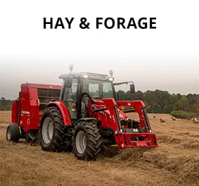 Hay Forage EN