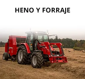 Hay Forage ES