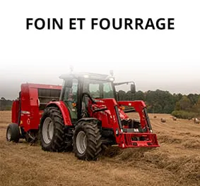 Hay Forage FR