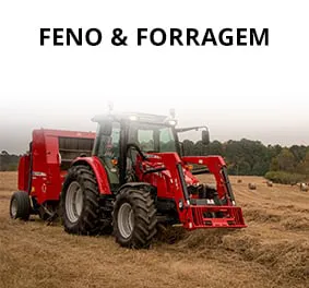 Hay Forage PT