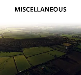 Miscellaneous EN